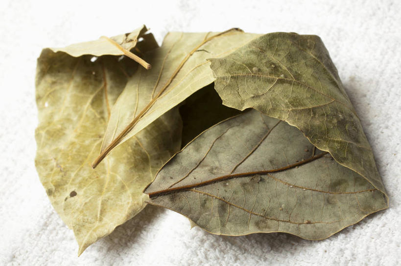 无人,横图,俯视,室内,特写,白天,植物,桌面,桌子,叶子,阴影,反射,木制,纹理,影子,绿叶,绿色,木制品,嫩叶,肌理,叶,叶片,叶脉,彩图,高角度拍摄