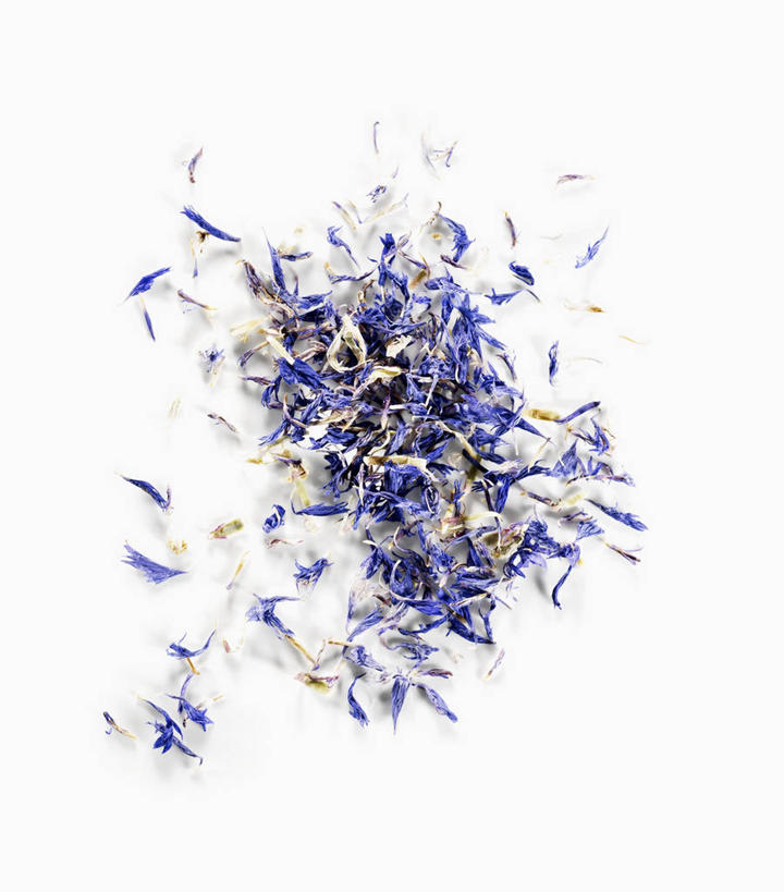 无人,竖图,俯视,室内,特写,白天,白色背景,幸福,餐桌,桌子,阴影,盛开,反射,影子,花蕾,花,花瓣,花朵,鲜花,蓝色,花苞,花蕊,菊花,摄影,影棚,餐台,优雅,纤细,矢车菊,忠诚,再生,蓝芙蓉,荔枝菊,思念,热爱,彩图,高角度拍摄,影棚拍摄,拍摄