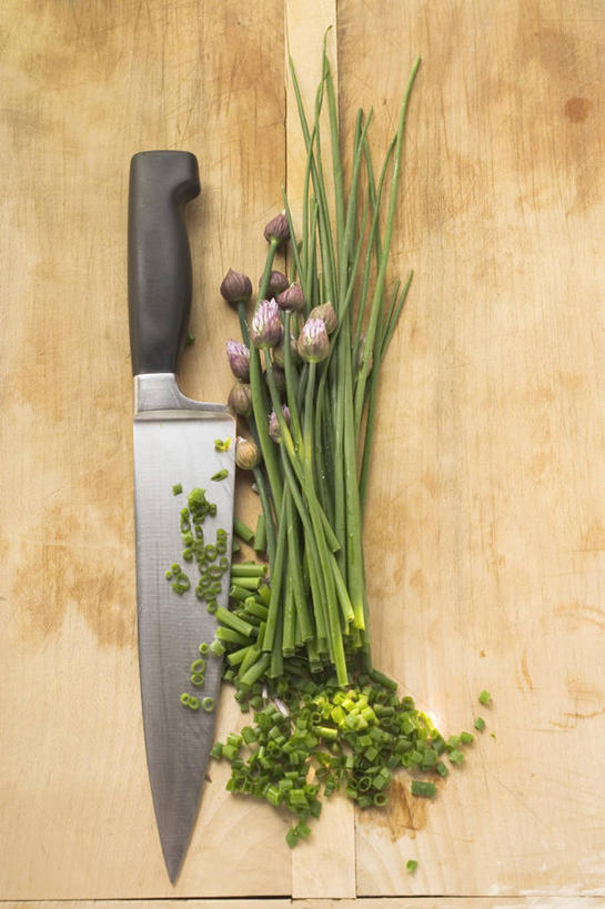 无人,竖图,俯视,室内,特写,白天,餐桌,桌子,蔬菜,金属制品,一把,阴影,新鲜,盛开,反射,金属,工具,影子,葱,青葱,食品,刀具,葱花,花蕾,花,花瓣,花朵,鲜花,食物,刀,花苞,花蕊,有机食品,绿色食品,餐台,菜刀,切菜刀,彩图,高角度拍摄
