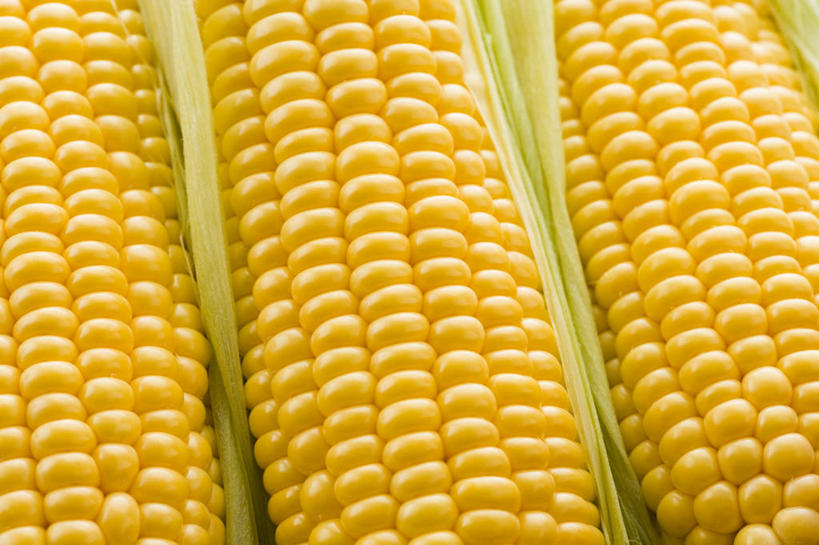 无人,横图,俯视,室内,特写,白天,玉米,蔬菜,三根,一排,阴影,新鲜,整齐,反射,棒子,影子,玉蜀黍,食品,食物,排列,黄色,有机食品,绿色食品,苞米,队列,苞芦,苞谷,包谷,大蜀黍,番麦,薏米包,玉高粱,玉麦,珍珠米,彩图,高角度拍摄,甜玉米