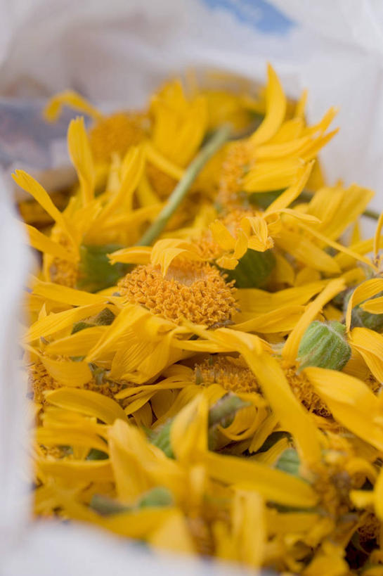 无人,竖图,俯视,室内,特写,白天,植物,一堆,许多,阴影,堆叠,堆积,朦胧,模糊,反射,影子,草药,药草,花蕾,中药,花,花瓣,花朵,鲜花,黄色,花苞,花蕊,堆,药材,中草药,中药材,本草,山金车,彩图,高角度拍摄