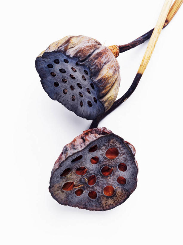 无人,竖图,俯视,室内,特写,白天,白色背景,餐桌,桌子,蔬菜,阴影,新鲜,反射,影子,食品,藕,食物,两个,摄影,有机食品,绿色食品,影棚,餐台,莲藕,彩图,高角度拍摄,影棚拍摄,拍摄