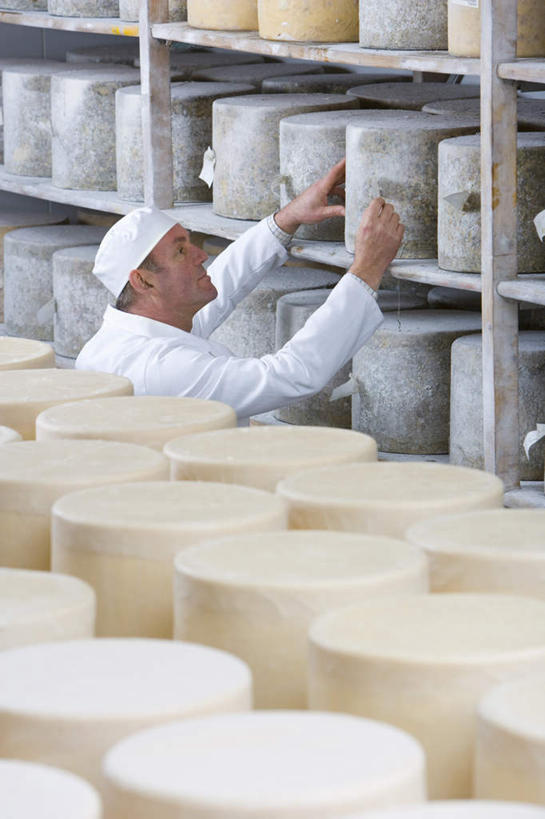 奶酪,西方人,一个人,站,竖图,室内,白天,侧面,工作服,制服,欧洲,欧洲人,仅一个男性,仅一个人,仅一个中年男性,一排,许多,握,整齐,罐子,干酪,起司,芝士,很多,营养,拿,仓库,拿着,注视,货架,架子,玻璃制品,排列,玻璃瓶,瓶子,观察,看,站着,乳酪,握着,观看,察看,乳制品,队列,关注,陈列架,发酵,超市货架,工作制服,男人,男性,中年男性,白种人,站立,半身,彩图,工作套服,堆栈