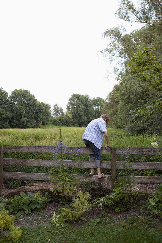 西方人,儿童,一个人,栏杆,站,竖图,室外,白天,纯洁,草地,草坪,植物,欧洲,欧洲人,仅一个男性,仅一个人,阴影,服装,光线,影子,栅栏,篱笆,围栏,注视,休闲装,护栏,草,树,树木,小孩,背面,衣服,绿色,阳光,自然,观察,看,站着,仅一个小孩,休闲,休闲服,可爱,童年,童趣,服饰,生长,成长,观看,察看,关注,童真,烂漫,无邪,天真,男孩,男人,男性,白种人,孩子,站立,彩图,全身,男生