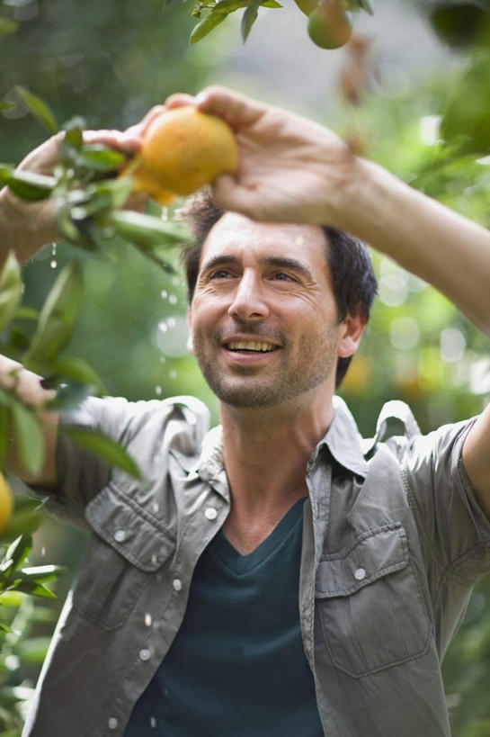西方人,一个人,站,笑,微笑,露齿笑,竖图,室外,白天,正面,柑橘,水果,叶子,欧洲,欧洲人,仅一个男性,仅一个人,仅一个中年男性,握,服装,新鲜,生食,食品,果实,绿叶,拿,拿着,注视,休闲装,食物,衣服,观察,看,站着,休闲,休闲服,嫩叶,握着,服饰,有机食品,绿色食品,观看,察看,关注,男人,男性,中年男性,白种人,叶,叶片,橘子,桔子,橙子,橙,站立,半身,彩图