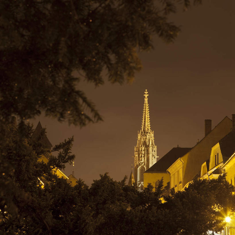 无人,教堂,方图,室外,夜晚,仰视,旅游,度假,名胜古迹,植物,标志建筑,地标,建筑,欧洲,匈牙利,阴影,节日,遗迹,光线,影子,灯光,首都,古迹,文化,文物,娱乐,建设,古建筑,树,树木,绿色,天空,自然,天,祈祷,享受,休闲,健康,旅游胜地,放松,许愿,宗教,信仰,生长,成长,纪念,祈求,布达佩斯,信念,古文明,中欧,匈牙利共和国,平安,彩图,低角度拍摄,大教堂,礼拜堂,马加什教堂,马提亚教堂