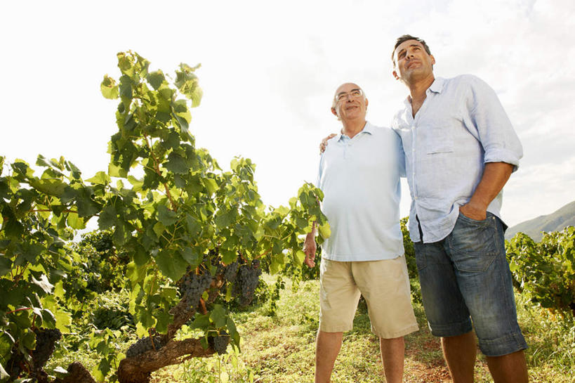 西方人,两个人,家庭,父亲,儿子,果园,站,抱,笑,微笑,横图,室外,白天,仰视,衬衫,草地,草坪,田园,植物,葡萄,水果,欧洲,欧洲人,阴影,服装,裤子,新鲜,光线,影子,生食,食品,果实,注视,牛仔裤,休闲装,葡萄园,架子,草,食物,衣服,绿色,阳光,庄园,观察,看,站着,休闲,温暖,温馨,父子,一家人,休闲服,父爱,服饰,有机食品,绿色食品,抱着,观看,支撑,固定,和睦,察看,搂着,关注,手插袋,单手插袋,葡萄架,单手抄兜,单手放兜,老年男性,男人,男性,中年男性,白种人,山葫芦,蒲桃,草龙珠,插兜,搂,手插兜,手放口袋,站立,半身,彩图,低角度拍摄,衬衣,融洽,手抄兜