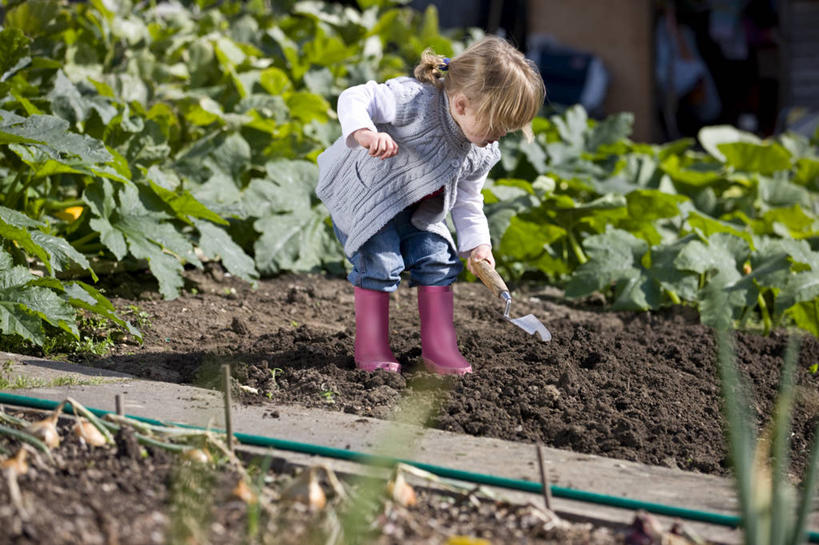 西方人,婴儿,儿童,一个人,农田,站,横图,室外,白天,正面,纯洁,庄稼,农作物,草地,草坪,植物,鞋子,金属制品,欧洲,欧洲人,仅一个人,弯腰,握,阴影,服装,裤子,光线,金属,铲子,影子,雨鞋,雨靴,泥土,土壤,注视,牛仔裤,休闲装,靴子,草,小孩,衣服,绿色,阳光,低头,观察,看,站着,休闲,休闲服,可爱,握着,服饰,活泼,观看,察看,关注,宝宝,胶鞋,纯真,烂漫,无邪,弯身,伶俐,天真,白种人,孩子,站立,彩图,全身,耕地,庄稼田,手铲
