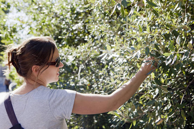 西方人,一个人,站,横图,室外,白天,植物,欧洲,欧洲人,仅一个女性,仅一个人,握,阴影,服装,光线,包,墨镜,眼镜,影子,扭头,注视,休闲装,树,树木,背面,衣服,绿色,阳光,自然,太阳镜,太阳眼镜,观察,看,站着,转头,仅一个中年女性,休闲,休闲服,遮阳镜,握着,服饰,生长,成长,观看,察看,关注,斜挎包,女人,女性,中年女性,白种人,站立,半身,彩图