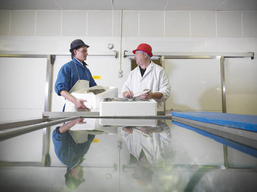 海鲜,西方人,两个人,伙伴,朋友,站,横图,室内,白天,正面,工作服,制服,友谊,合作,团队,厨房,帽子,欧洲,欧洲人,许多,握,服装,鱼,很多,拿,鲭鱼,拿着,注视,水产,鱼类,海洋生物,工人,衣服,倒影,容器,观察,看,站着,战略,握着,服饰,观看,储藏,花池鱼,花鲱,花鳀,青花鱼,鲐鲅鱼,油胴鱼,察看,倒映,衣着,储存,穿着,关注,水生动物,海产品,水生物,海底动物,大菱鲆,联合,合谋,工作制服,衣饰,瘤棘鲆,反照,配合,协作,男人,男性,中年男性,白种人,站立,半身,彩图,工作套服,灶间,贮存