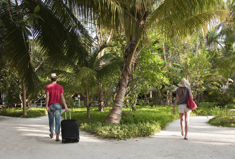 西方人,两个人,走,横图,室外,白天,爱情,草地,草坪,植物,棕榈树,帽子,叶子,欧洲,欧洲人,握,阴影,服装,分离,光线,包,草帽,拉杆箱,旅行箱,皮包,影子,绿叶,浪漫,拿,拿着,休闲装,草,树,树木,背面,衣服,绿色,阳光,自然,行李箱,箱子,休闲,温暖,温馨,休闲服,嫩叶,恩爱,握着,恋人,服饰,生长,成长,出差,单肩包,和睦,棕榈叶,离别,分手,男人,男性,年轻男性,年轻女性,女人,女性,白种人,情侣,叶,叶片,棕树,棕榈,步行,散步,走路,彩图,全身,旅行,伴侣,融洽