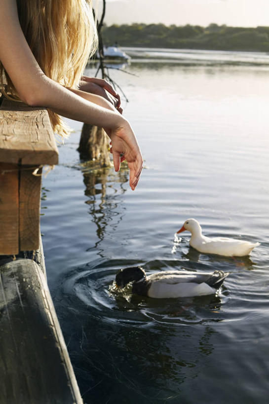 西方人,两个人,伙伴,朋友,竖图,室外,白天,侧面,友谊,草地,草坪,河流,水,植物,鸟,欧洲,欧洲人,阴影,光线,鸟类,鸭,鸭子,木板,影子,河水,水流,桥,木桥,家禽,栈桥,草,蓝色,绿色,蓝天,天空,阳光,动物,天,趴着,两只,搭,喂,牲畜,晴朗,人行桥,木板桥,搭着,绿头鸭,万里无云,大红腿鸭,大绿头,大麻鸭,对鸭,友情,年轻女性,女人,女性,白种人,晴空,晴空万里,官鸭,趴,半身,彩图
