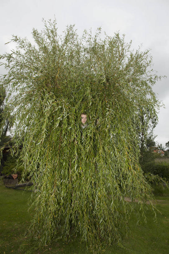 西方人,一个人,站,竖图,室外,白天,正面,草地,草坪,美景,树林,植物,欧洲,欧洲人,仅一个男性,仅一个人,躲藏,阴影,服装,光线,影子,景观,云,云朵,青苔,苔藓,云彩,休闲装,草,树,树木,仅一个年轻男性,衣服,蓝色,绿色,白云,蓝天,天空,阳光,自然,天,站着,休闲,休闲服,景色,服饰,生长,晴朗,成长,隐蔽,隐藏,自然风光,潜藏,暗藏,男人,男性,年轻男性,白种人,晴空,站立,彩图,全身