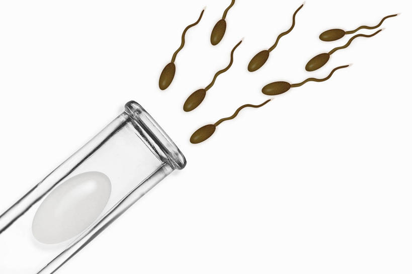 无人,横图,插画,室内,白天,白色背景,正面,数码,实验,仪器,科技,杯子,阴影,研究,透明,反射,分析,科学,网络,化学,医学,测试,试管,影子,高光,几何,计算机图形,合成,图画,玻璃制品,画,一个,玻璃瓶,精子,瓶子,怀孕,器皿,单个,电脑合成图,数码合成图,医疗,科学技术,合成图,人工受精,漫画,计量,试管婴儿,玻璃仪器,试验耗材,实验用品,写实,具体,具象,生殖细胞,单倍体生殖细胞,雄配子,雄性生殖细胞,雄性细胞,玻璃杯,彩图,体外受精,体外受孕