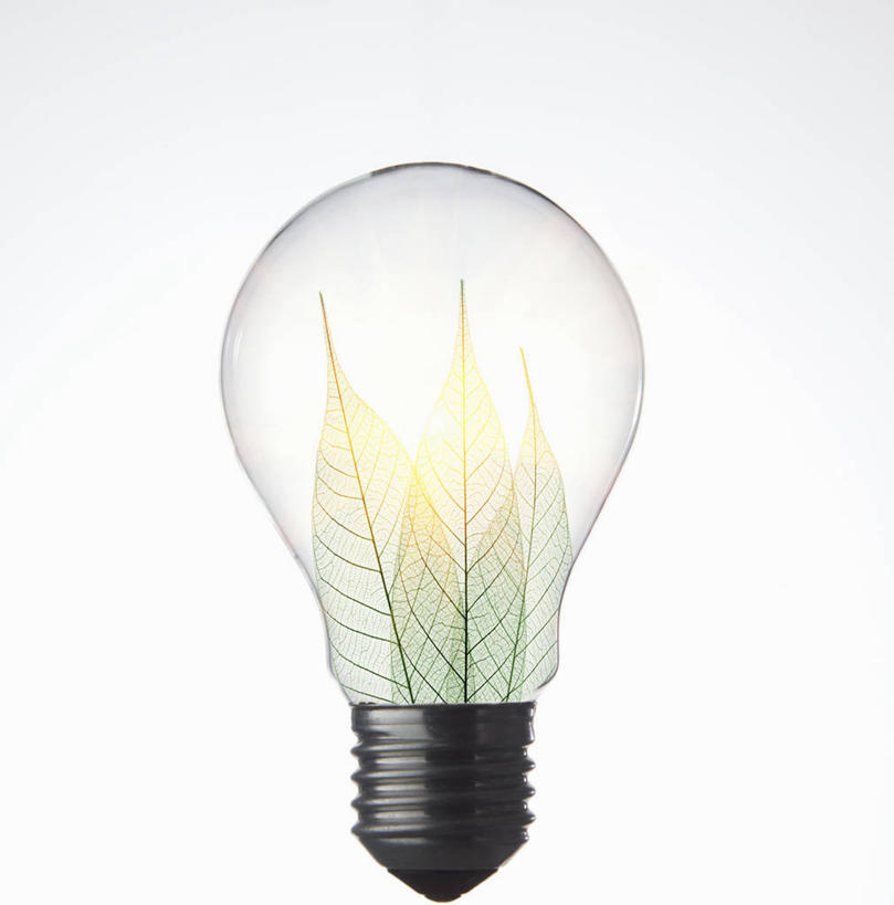 无人,竖图,室内,特写,白天,白色背景,正面,叶子,照明,环保,亮光,灯泡,绿叶,光亮,灯,一个,灯具,嫩叶,摄影,白炽灯,影棚,能源,单个,照亮,回收,资源,利用,低碳,循环,照明工具,白炽灯泡,梨形灯泡,梨形,持续,叶,叶片,彩图,影棚拍摄,拍摄