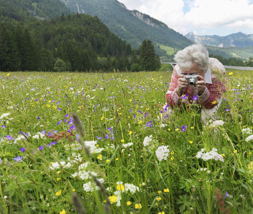 西方人,一个人,站,横图,室外,白天,正面,草地,草坪,花海,花圃,山,山脉,植物,相机,叶子,欧洲,欧洲人,仅一个女性,仅一个人,弯腰,握,服装,盛开,山峰,云,云朵,山峦,拿,花蕾,云彩,拿着,注视,休闲装,草,花,花瓣,花朵,花卉,鲜花,拍照,衣服,蓝色,绿色,白云,蓝天,天空,数码相机,花丛,花束,花田,群山,天,花苞,花蕊,观察,看,站着,休闲,休闲服,握着,摄影,服饰,仅一个老年女性,晴朗,观看,察看,关注,弯身,老年女性,女人,女性,白种人,照相机,晴空,站立,半身,彩图,照相