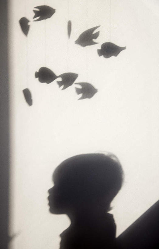 西方人,儿童,一个人,无人,站,竖图,室内,白天,正面,游戏,纯洁,玩具,欧洲,欧洲人,仅一个男性,仅一个人,吊挂,悬挂,阴影,光线,鱼,影子,挂,玩,娱乐,鱼类,小孩,站着,仅一个小孩,休闲,可爱,童年,童趣,益智,活动,发泄,消遣,智力,童真,烂漫,无邪,宣泄,天真,男孩,男人,男性,白种人,孩子,玩耍,嬉戏,站立,半身,彩图,转铃,婴儿玩具,挂铃,床头转铃,床铃,男生