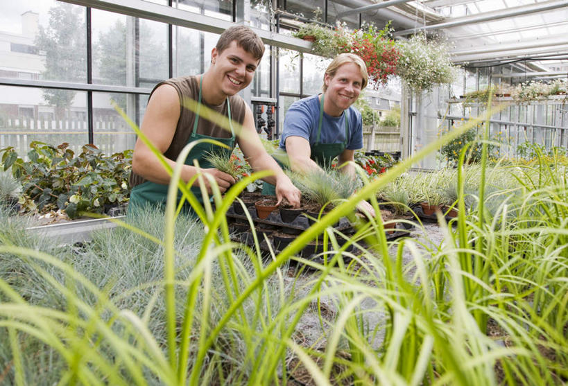 西方人,两个人,伙伴,朋友,店员,站,笑,微笑,露齿笑,横图,室内,白天,正面,友谊,合作,团队,植物,窗户,落地窗,欧洲,欧洲人,握,服装,盆栽,围裙,盆景,拿,温室,拿着,注视,休闲装,玻璃窗,衣服,绿色,自然,观察,看,站着,营业员,休闲,休闲服,战略,握着,服饰,设施,生长,成长,观看,察看,暖房,防寒,关注,加温,透光,保温,联合,合谋,销售人员,配合,协作,男人,男性,年轻男性,白种人,售货员,站立,半身,彩图