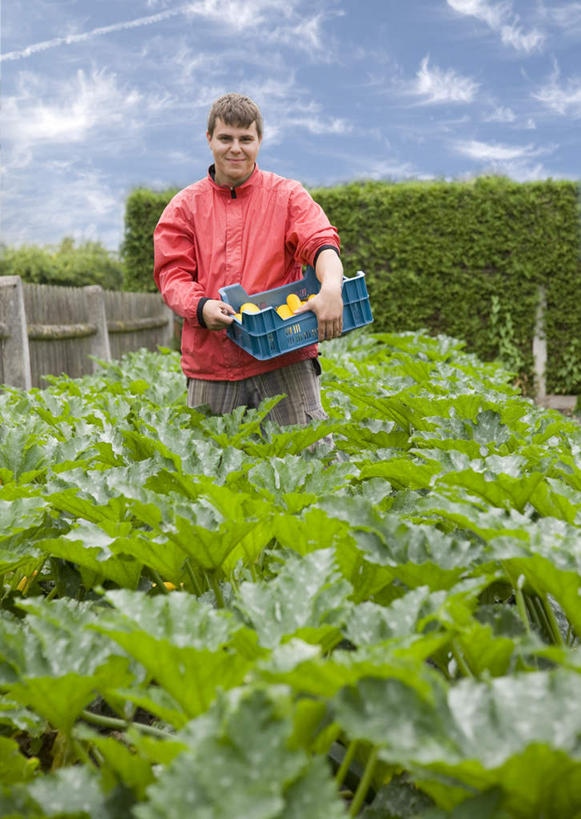 西方人,一个人,农民,农田,栏杆,站,捧,笑,交叉,微笑,露齿笑,竖图,室外,白天,正面,庄稼,农作物,植物,竹子,欧洲,欧洲人,仅一个男性,仅一个人,阴影,竹制,服装,环保,编织,光线,篮子,影子,栅栏,篱笆,云,云朵,围栏,西葫芦,防护,云彩,注视,休闲装,护栏,树,树木,仅一个年轻男性,衣服,蓝色,绿色,白云,蓝天,天空,阳光,自然,竹篮,天,观察,看,站着,休闲,休闲服,白瓜,服饰,生长,晴朗,成长,观看,竹条,交织,察看,竹制品,关注,美好,美妙,间隔,美观,雅观,茭瓜,穿插,绿篱,生篱,树篱,植篱,男人,男性,年轻男性,白种人,晴空,佃农,农场主,农夫,农工,乡下人,小农,庄稼人,端,端着,捧着,手捧,站立,半身,彩图,耕地,庄稼田