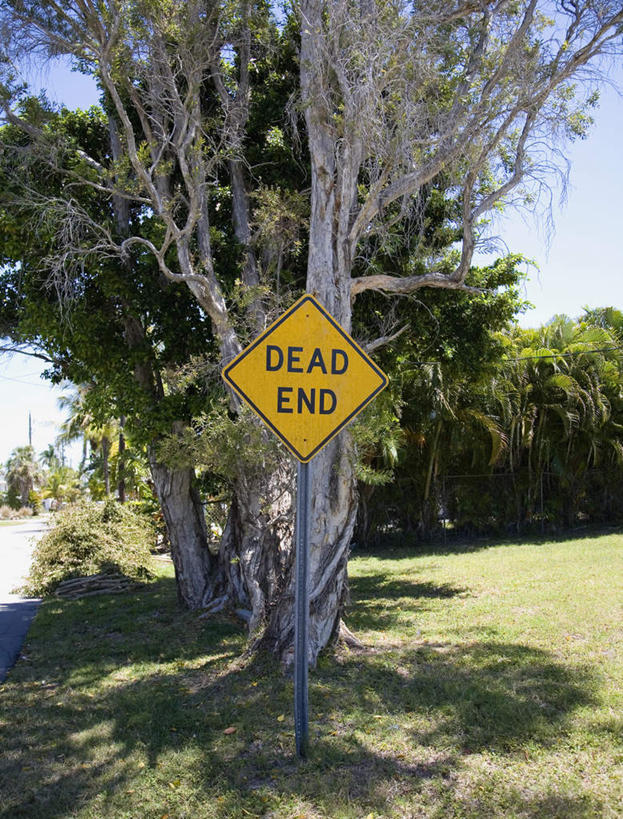 无人,竖图,室外,白天,正面,草地,草坪,美景,植物,指示牌,阴影,光线,标志,文字,影子,景观,云,云朵,警告,云彩,标识,草,树,树木,黄色,蓝色,绿色,白云,蓝天,天空,阳光,自然,天,景色,警示,生长,晴朗,成长,禁止,提醒,提示,限制,自然风光,危险,晴空,彩图