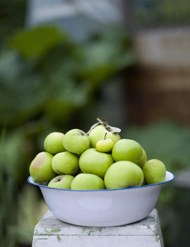 无人,竖图,室外,特写,白天,正面,苹果,水果,金属制品,一堆,许多,堆叠,堆积,朦胧,模糊,新鲜,金属,生食,食品,果实,很多,食物,容器,碗,青苹果,有机食品,绿色食品,储藏,堆,储存,彩图,贮存