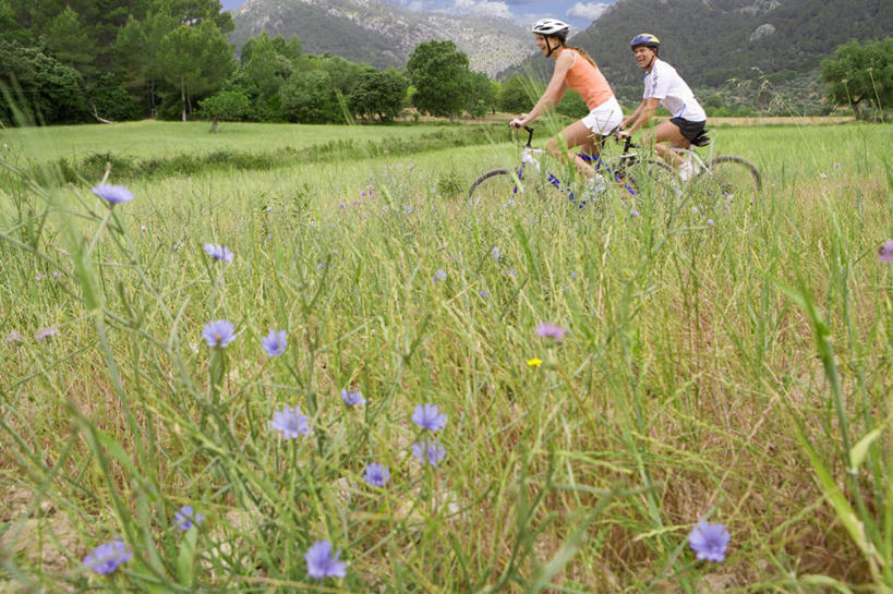 西方人,中年人,两个人,家庭,夫妻,坐,横图,室外,白天,侧面,运动服,爱情,锻炼,旅游,度假,运动,草地,草坪,植物,道路,路,自行车,帽子,欧洲,欧洲人,一辆,握,阴影,服装,盛开,光线,头盔,影子,小路,交通,浪漫,拿,花蕾,山地车,拿着,扭头,注视,娱乐,踩,车,脚踏车,草,花,花瓣,花朵,鲜花,树,树木,衣服,绿色,紫色,阳光,自然,安全帽,交通工具,花苞,花蕊,踩着,观察,看,转头,享受,休闲,温暖,温馨,一家人,恩爱,放松,握着,恋人,服饰,生长,成长,观看,和睦,察看,衣着,穿着,关注,载具,室外运动,户外运动,山地自行车,一顶,衣饰,男人,男性,女人,女性,中年男性,中年女性,白种人,夫妇,情侣,坐着,彩图,全身,健身,伴侣,融洽,运动装