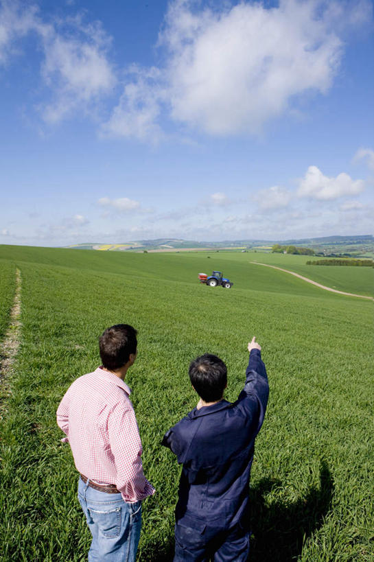 西方人,两个人,伙伴,朋友,农田,站,举,竖图,俯视,室外,白天,友谊,合作,团队,农业,庄稼,农作物,草地,草坪,植物,汽车,欧洲,欧洲人,一辆,阴影,服装,光线,影子,云,云朵,麦田,云彩,注视,休闲装,手叉腰,车,草,树,树木,衣服,蓝色,绿色,白云,蓝天,天空,阳光,自然,交通工具,天,叉腰,观察,看,托,站着,休闲,休闲服,机械,战略,服饰,生长,晴朗,成长,观看,察看,双手叉腰,关注,载具,拖拉机,联合,合谋,交通运输,农用机械,配合,协作,男人,男性,年轻男性,中年男性,白种人,晴空,举起,举手,举着,向上举,向上伸,向上托,站立,半身,彩图,高角度拍摄,耕地,庄稼田