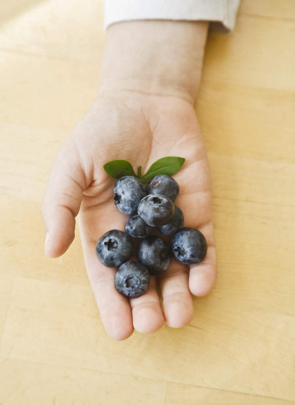 西方人,儿童,手,一个人,捧,竖图,俯视,室内,特写,白天,纯洁,餐桌,桌子,浆果,蓝莓,水果,叶子,欧洲,欧洲人,仅一个男性,仅一个人,许多,新鲜,生食,食品,果实,绿叶,很多,食物,小孩,蓝色,绿色,仅一个小孩,手部,嫩叶,可爱,童年,童趣,有机食品,绿色食品,餐台,单手,童真,烂漫,无邪,天真,男孩,男人,男性,白种人,孩子,叶,叶片,山都柿,蓝浆果,蓝靛果,端,端着,捧着,手捧,半身,彩图,高角度拍摄,男生