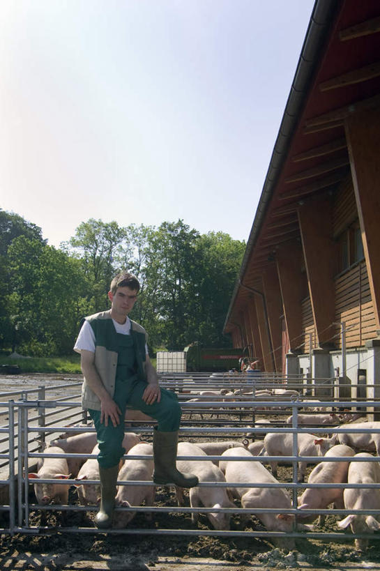 西方人,一个人,农场,栏杆,站,竖图,室外,白天,正面,工作服,制服,畜牧业,牧场,树林,植物,猪,鞋子,欧洲,欧洲人,仅一个男性,仅一个人,仅一个中年男性,许多,阴影,光线,影子,雨鞋,雨靴,围栏,很多,注视,靴子,踩,护栏,树,树木,蓝色,绿色,蓝天,天空,阳光,自然,动物,天,踩着,观察,看,站着,家畜,牲畜,生长,晴朗,成长,观看,察看,关注,胶鞋,畜牧,万里无云,牧业,工作制服,男人,男性,中年男性,白种人,晴空,晴空万里,站立,彩图,全身,工作套服