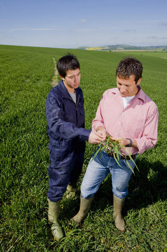 东方人,西方人,两个人,同事,农民,站,竖图,俯视,室外,白天,工作服,制服,成功,合作,团队,集体,信心,草地,草坪,植物,鞋子,欧洲,欧洲人,亚洲,握,阴影,服装,光线,影子,雨鞋,雨靴,拿,拿着,注视,休闲装,黄种人,靴子,队伍,草,衣服,粉色,蓝色,绿色,蓝天,天空,阳光,天,观察,看,站着,休闲,休闲服,握着,服饰,晴朗,观看,察看,领导,成就,关注,胶鞋,合伙,领袖,万里无云,农人,工作制服,男人,男性,年轻男性,中年男性,白种人,亚洲人,晴空,晴空万里,农夫,站立,彩图,高角度拍摄,全身,工作套服