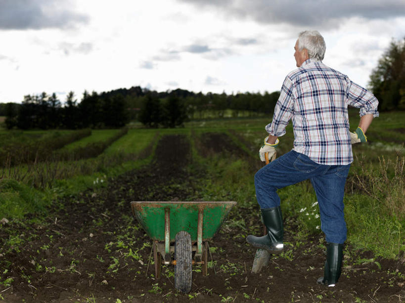 西方人,一个人,站,横图,室外,白天,安全,草地,草坪,树林,植物,鞋子,欧洲,欧洲人,仅一个男性,仅一个人,一辆,阴影,服装,光线,影子,雨鞋,雨靴,云,云朵,防护,云彩,注视,休闲装,靴子,踩,手叉腰,车,草,树,树木,背面,衣服,蓝色,绿色,白云,蓝天,天空,阳光,自然,手套,手推车,交通工具,天,踩着,叉腰,观察,看,站着,仅一个老年男性,休闲,休闲服,服饰,独轮车,生长,晴朗,成长,观看,保护,察看,关注,载具,胶鞋,保险,保全,周全,安稳,安定,防护手套,平安,老年男性,男人,男性,白种人,晴空,站立,彩图,全身