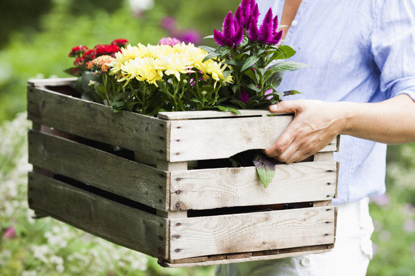 西方人,手,一个人,站,横图,室外,特写,白天,正面,草地,草坪,植物,欧洲,欧洲人,仅一个女性,仅一个人,握,阴影,服装,朦胧,模糊,盛开,光线,木制,木盒,影子,拿,花蕾,拿着,注视,休闲装,草,花,花瓣,花朵,鲜花,一个,衣服,绿色,阳光,木制品,容器,花苞,花蕊,观察,看,站着,仅一个中年女性,休闲,手部,休闲服,握着,服饰,单个,观看,储藏,单手,察看,储存,关注,女人,女性,中年女性,白种人,站立,半身,彩图,贮存