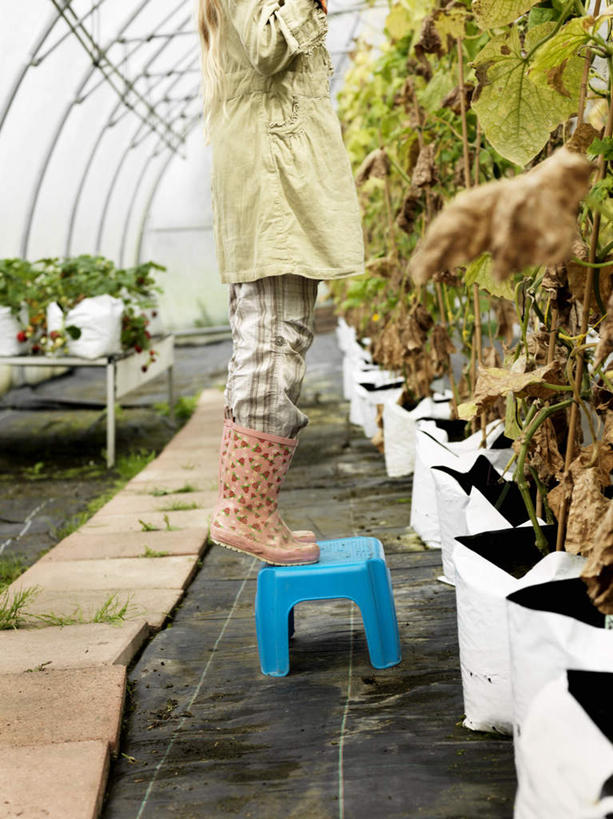 西方人,儿童,一个人,站,竖图,室内,白天,侧面,纯洁,植物,窗户,欧洲,欧洲人,仅一个女性,仅一个人,一排,许多,服装,整齐,板凳,盆栽,凳子,天窗,盆景,很多,温室,休闲装,玻璃窗,排列,一个,小孩,衣服,蓝色,绿色,自然,站着,仅一个小孩,休闲,休闲服,可爱,童年,童趣,服饰,设施,生长,单个,成长,暖房,防寒,队列,加温,透光,保温,童真,烂漫,无邪,天真,女孩,女人,女性,白种人,孩子,站立,半身,彩图,女生