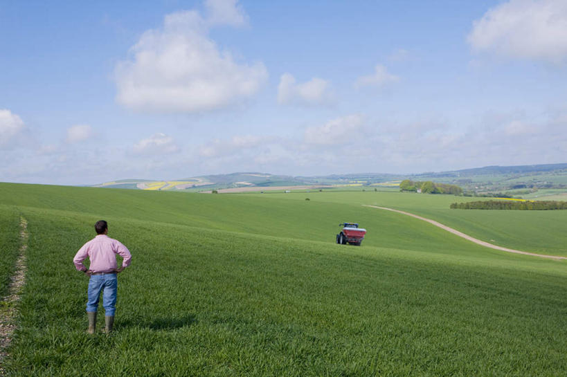 西方人,一个人,农民,农场,站,横图,室外,白天,衬衫,畜牧业,农业,牧场,草地,草坪,植物,汽车,欧洲,欧洲人,仅一个男性,仅一个人,仅一个中年男性,一辆,阴影,裤子,光线,影子,云,云朵,云彩,牛仔裤,手叉腰,车,草,背面,蓝色,绿色,白云,蓝天,天空,阳光,交通工具,天,叉腰,站着,机械,晴朗,双手叉腰,载具,拖拉机,畜牧,牧业,交通运输,农用机械,男人,男性,中年男性,白种人,晴空,佃农,农场主,农夫,农工,乡下人,小农,庄稼人,站立,彩图,全身,衬衣