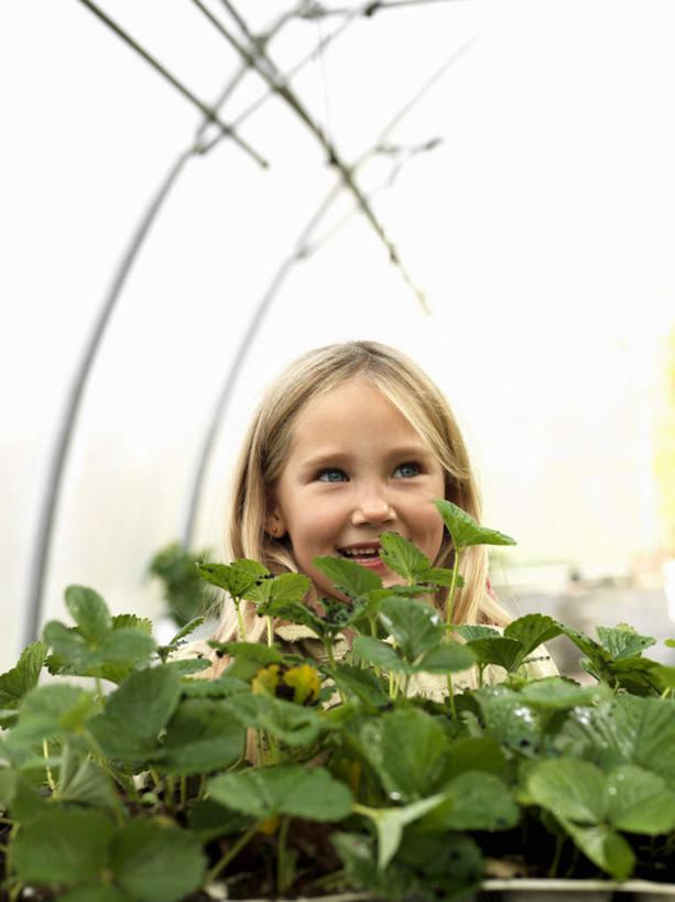 西方人,儿童,一个人,站,捧,笑,微笑,露齿笑,竖图,室内,白天,正面,纯洁,植物,叶子,欧洲,欧洲人,仅一个女性,仅一个人,许多,阴影,服装,光线,盆栽,影子,绿叶,盆景,温室,注视,休闲装,小孩,衣服,绿色,阳光,自然,观察,看,站着,仅一个小孩,休闲,休闲服,嫩叶,可爱,童年,童趣,服饰,设施,生长,成长,观看,察看,暖房,防寒,关注,加温,透光,保温,童真,烂漫,无邪,天真,女孩,女人,女性,白种人,孩子,叶,叶片,端,端着,捧着,手捧,站立,半身,彩图,眩光,女生