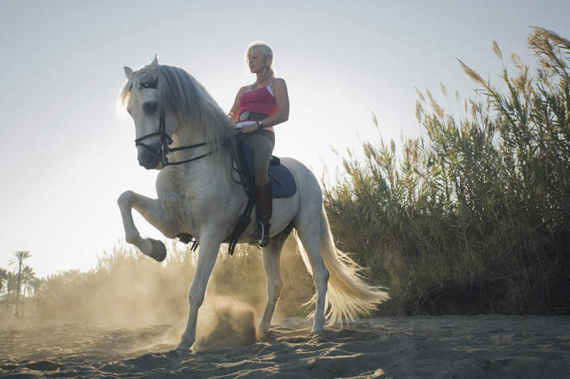西方人,一个人,坐,横图,室外,白天,仰视,草地,草坪,沙滩,植物,马,野生动物,欧洲,欧洲人,仅一个女性,仅一个人,骑马,握,阴影,服装,光线,沙子,影子,海岸,沙地,背光,注视,休闲装,一匹,座位,马鞍,草,衣服,蓝色,绿色,蓝天,天空,阳光,动物,天,观察,看,仅一个中年女性,休闲,休闲服,握着,运输,服饰,牲畜,晴朗,观看,察看,关注,逆光,万里无云,马具,女人,女性,中年女性,白种人,海滩,晴空,晴空万里,坐着,彩图,低角度拍摄,全身