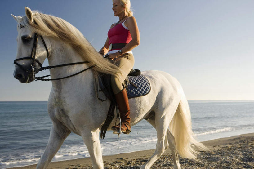 西方人,一个人,坐,横图,室外,白天,侧面,海浪,海洋,沙滩,马,野生动物,欧洲,欧洲人,仅一个女性,仅一个人,骑马,握,阴影,服装,光线,沙子,影子,海岸,浪花,水平线,辽阔,海平线,沙地,注视,休闲装,一匹,座位,马鞍,衣服,蓝色,蓝天,天空,阳光,海水,动物,天,观察,看,仅一个中年女性,休闲,广阔,休闲服,握着,运输,服饰,牲畜,晴朗,观看,一望无际,察看,关注,海景,万里无云,马具,无边无际,一马平川,女人,女性,中年女性,白种人,大海,风浪,海,海水的波动,海滩,近岸浪,涌浪,晴空,晴空万里,坐着,半身,彩图,水天相接,水天一线