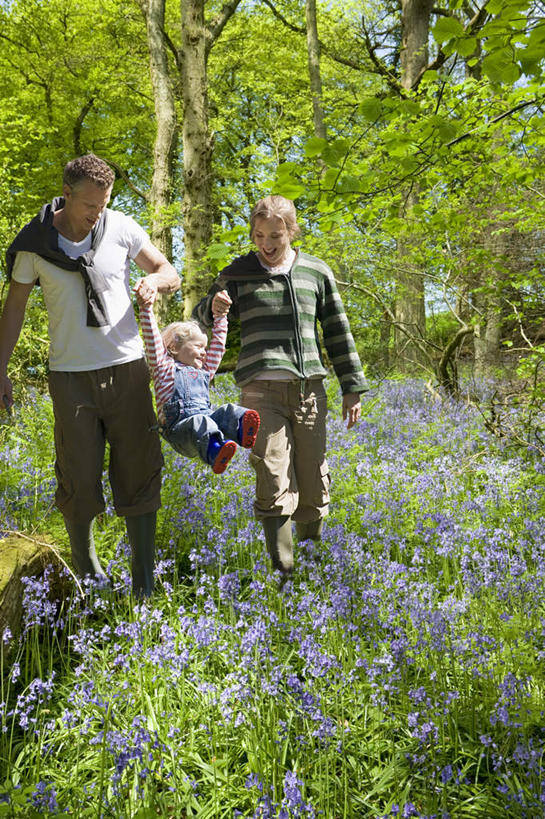 西方人,儿童,中年人,三个人,家庭,夫妻,母亲,父亲,女儿,走,举,握手,竖图,室外,白天,正面,爱情,纯洁,草地,草坪,花海,花圃,植物,风信子,叶子,欧洲,欧洲人,吊挂,悬挂,阴影,服装,盛开,光线,影子,浪漫,挂,花蕾,注视,休闲装,草,花,花瓣,花朵,花卉,鲜花,树,树木,小孩,衣服,绿色,紫色,阳光,自然,花丛,花束,花田,花苞,花蕊,低头,观察,看,托,休闲,温暖,温馨,父女,母女,三口之家,一家人,休闲服,恩爱,父爱,可爱,母爱,童年,童趣,恋人,服饰,生长,成长,观看,悲伤,喜悦,和睦,察看,风信花,关注,怀念,童真,烂漫,无邪,悲哀,垂头,天真,男人,男性,女孩,女人,女性,中年男性,中年女性,白种人,孩子,夫妇,情侣,步行,搀手,举起,举手,举着,拉手,散步,手搀手,手拉手,手牵手,手握手,向上举,向上伸,向上托,走路,彩图,全身,伴侣,融洽,女生