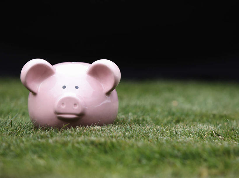 无人,横图,室外,特写,白天,正面,草地,草坪,植物,草,一个,绿色,容器,储蓄罐,器皿,储蓄,存钱,金融,理财,经济,单个,资金,存钱罐,存款,流通,贸易,贮钱罐,储钱罐,扑满,彩图