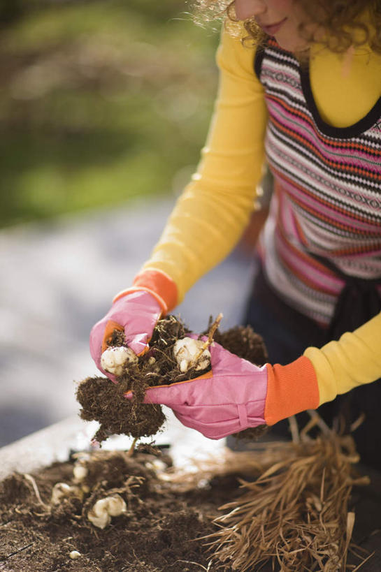 西方人,一个人,站,竖图,俯视,室外,白天,安全,植物,蒜,欧洲,欧洲人,仅一个年轻女性,仅一个女性,仅一个人,握,阴影,服装,朦胧,模糊,光线,盆栽,影子,泥土,土壤,防护,盆景,拿,蒜头,拿着,休闲装,衣服,绿色,阳光,自然,手套,低头,站着,休闲,休闲服,握着,服饰,生长,成长,保护,保险,保全,周全,安稳,安定,防护手套,垂头,胡蒜,平安,年轻女性,女人,女性,白种人,大蒜,站立,半身,彩图,高角度拍摄