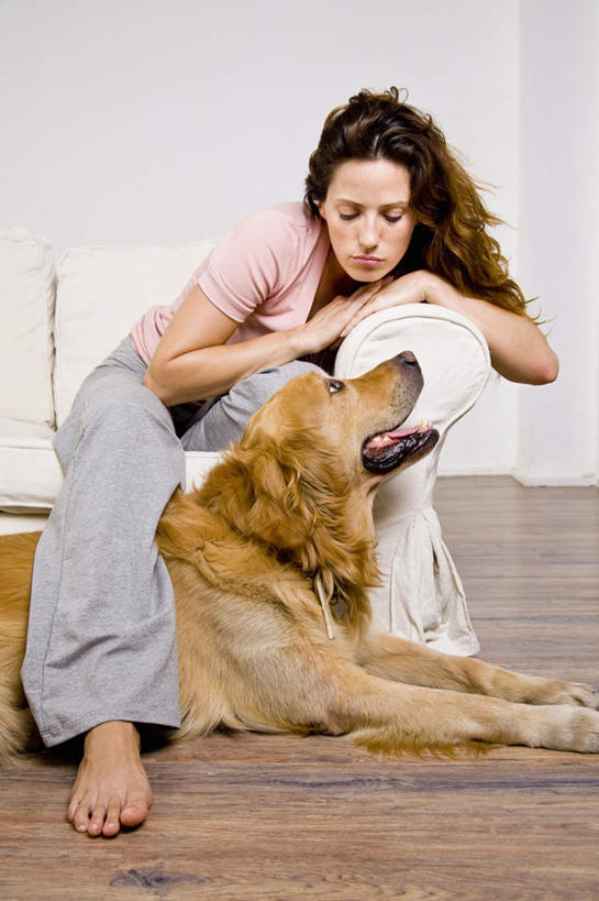 西方人,一个人,客厅,坐,笑,微笑,露齿笑,竖图,室内,白天,正面,地板,沙发,宠物,狗,欧洲,欧洲人,仅一个年轻女性,仅一个女性,仅一个人,服装,墙,地面,注视,休闲装,金毛犬,木地板,墙壁,墙面,一只,衣服,动物,低头,观察,看,趴着,休闲,休闲服,可爱,搭,服饰,金毛,观看,察看,金毛猎犬,起居室,搭着,关注,寻回犬,布艺沙发,金毛寻回犬,忠诚,垂头,金毛狗,金毛寻回狗,寻回狗,客堂,年轻女性,女人,女性,白种人,犬,趴,坐着,彩图,全身