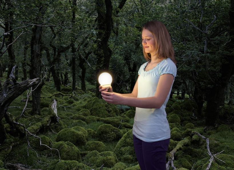 西方人,儿童,一个人,站,笑,微笑,横图,室外,白天,侧面,纯洁,森林,树林,植物,照明,欧洲,欧洲人,仅一个女性,仅一个人,握,阴影,服装,光线,灯泡,影子,灯光,拿,拿着,注视,休闲装,灯,树,树木,小孩,衣服,绿色,白色,自然,灯具,观察,看,站着,仅一个小孩,休闲,休闲服,可爱,童年,童趣,握着,服饰,白炽灯,生长,成长,观看,照亮,察看,关注,童真,烂漫,无邪,照明工具,白炽灯泡,天真,女孩,女人,女性,白种人,孩子,站立,半身,彩图,女生