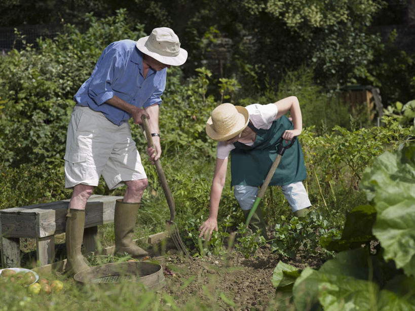 西方人,中年人,两个人,家庭,夫妻,农田,站,横图,室外,白天,正面,爱情,庄稼,农作物,草地,草坪,植物,帽子,鞋子,欧洲,欧洲人,两顶,一把,弯腰,握,阴影,服装,光线,草帽,铲子,影子,雨鞋,雨靴,浪漫,拿,拿着,注视,休闲装,靴子,草,树,树木,衣服,绿色,阳光,自然,观察,看,站着,休闲,温暖,温馨,一家人,休闲服,恩爱,握着,恋人,服饰,生长,成长,观看,和睦,察看,关注,胶鞋,弯身,男人,男性,女人,女性,中年男性,中年女性,白种人,夫妇,情侣,站立,彩图,全身,耕地,庄稼田,伴侣,融洽