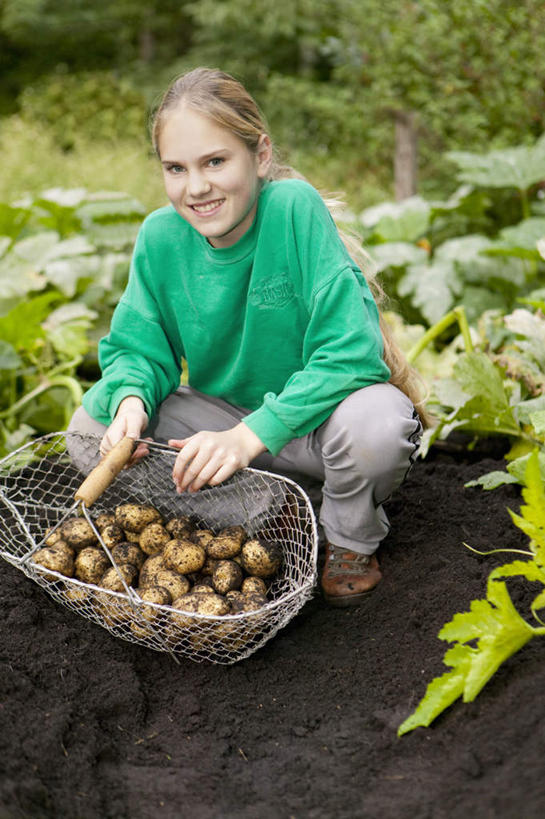 西方人,儿童,一个人,农田,蹲,笑,交叉,微笑,竖图,室外,白天,正面,纯洁,庄稼,农作物,竹子,土豆,欧洲,欧洲人,仅一个女性,仅一个人,一堆,许多,握,堆叠,堆积,竹制,服装,编织,篮子,泥土,土壤,很多,拿,拿着,注视,休闲装,小孩,衣服,竹篮,观察,看,仅一个小孩,休闲,休闲服,可爱,童年,童趣,握着,服饰,观看,竹条,堆,交织,察看,竹制品,关注,童真,烂漫,无邪,穿插,天真,女孩,女人,女性,白种人,孩子,芋艿,洋芋,山药蛋,马铃薯,蹲着,半身,彩图,耕地,庄稼田,女生
