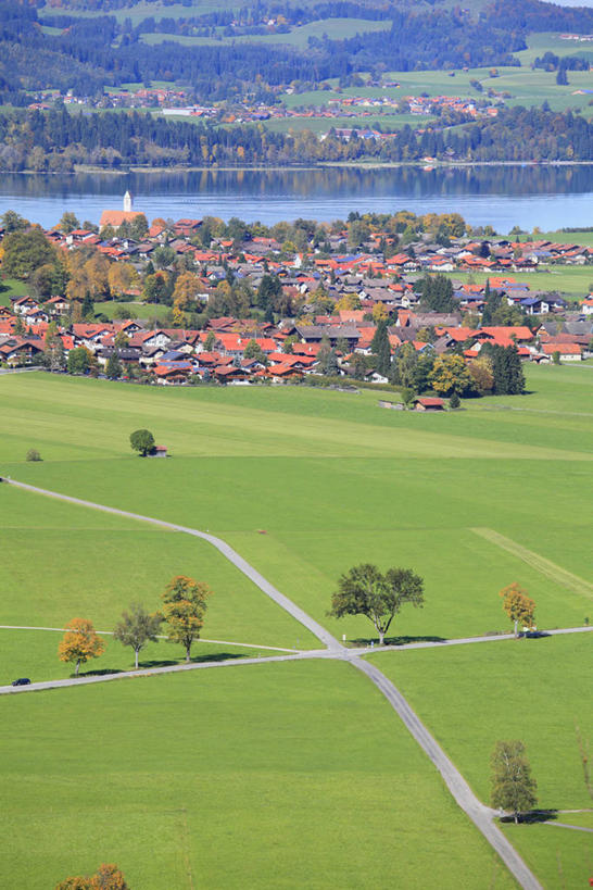 无人,家,竖图,俯视,航拍,室外,白天,旅游,度假,草地,草坪,美景,树林,植物,道路,路,德国,欧洲,阴影,光线,影子,房屋,屋子,景观,小路,交通,娱乐,楼房,新天鹅堡,住宅,草,树,树木,绿色,阳光,自然,享受,休闲,景色,放松,生长,成长,西欧,鸟瞰,自然风光,德意志联邦共和国,新天鹅城堡,巴伐利亚,巴伐利亚州,拜恩州,拜恩自由州,彩图,高角度拍摄,房子