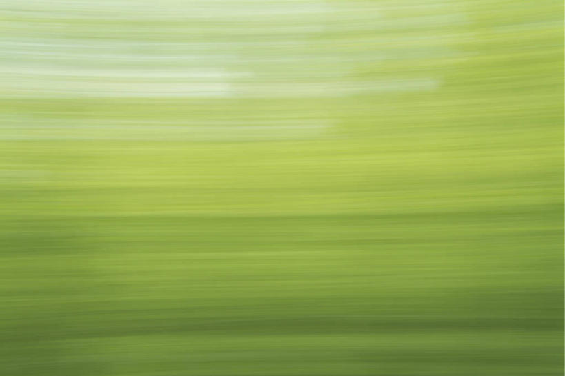 无人,横图,室外,白天,正面,阴影,朦胧,模糊,新鲜,光线,影子,绿色,阳光,青春,生命,和平,安详,冷色,彩图