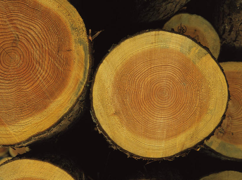 无人,横图,室内,特写,白天,正面,一堆,阴影,堆叠,堆积,反射,影子,圆环,圆圈,年轮,堆,年龄,环状,横截面,剖面,周期,年数,截面,截面图形,彩图