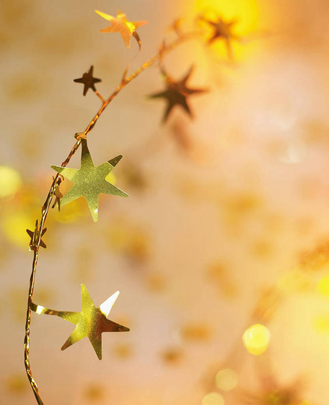 无人,竖图,室内,特写,白天,正面,静物,阴影,朦胧,模糊,装饰,光线,影子,星星,灯光,枝条,树枝,华丽,修饰,点缀,恒星,衬托,美观,雅致,雅观,虬枝,枝杈,彩图