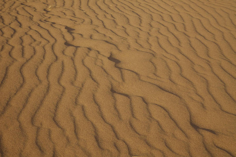 无人,横图,俯视,室外,特写,白天,美景,沙漠,日本,亚洲,阴影,光线,纹路,纹理,影子,景观,褐色,阳光,自然,景色,自然风光,东亚,本州,肌理,本州岛,日本国,中国地方,鸟取,鸟取沙丘,鸟取县,大漠,砂漠,彩图,高角度拍摄