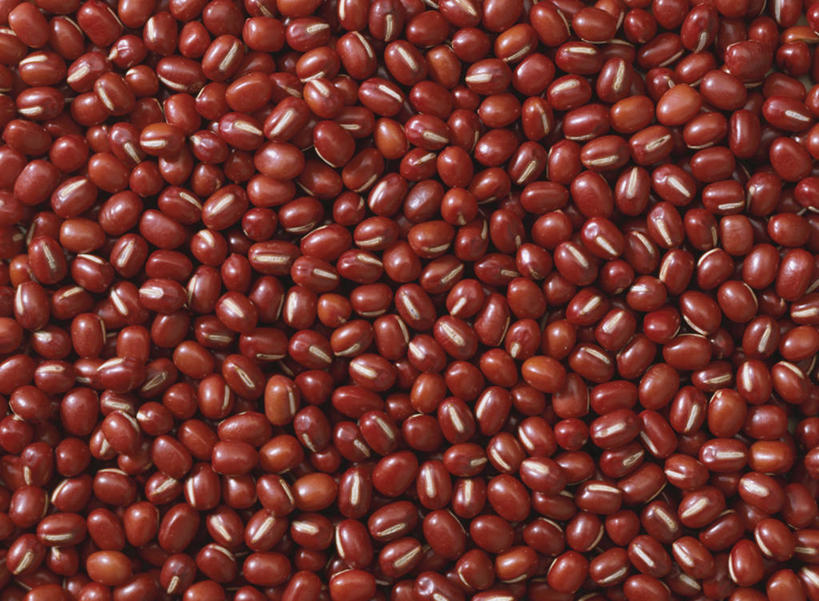 无人,横图,俯视,室内,特写,白天,植物,豆,蔬菜,一堆,许多,阴影,堆叠,堆积,新鲜,反射,影子,豆类,豆子,红豆,食品,很多,食物,红色,摄影,有机食品,绿色食品,影棚,堆,赤豆,豆科,红小豆,彩图,高角度拍摄,全画面,全框架,全帧,影棚拍摄,拍摄,全画幅